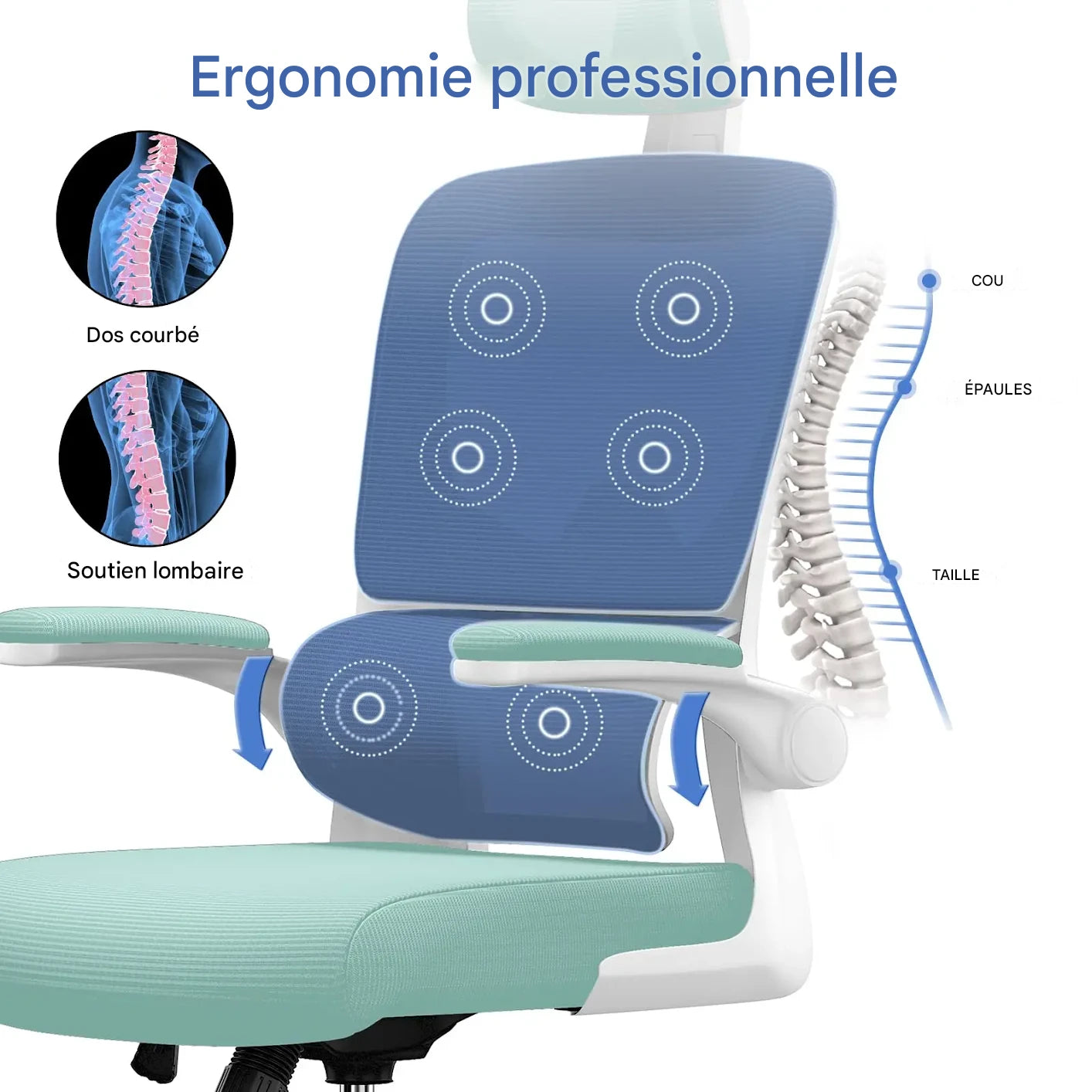 Chaise Ergonomique S306