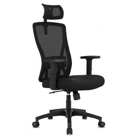 Chaise Ergonomique S308
