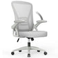 Chaise Ergonomique S301