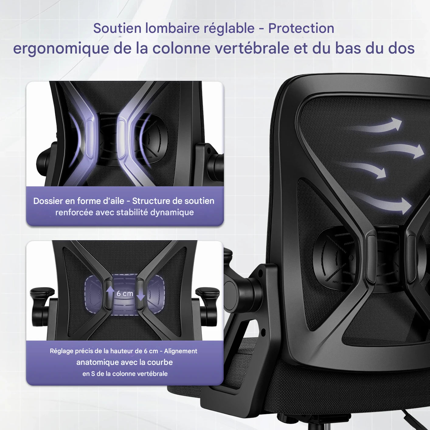Chaise Ergonomique S303