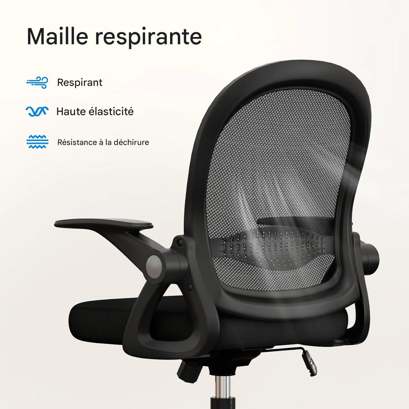 Chaise Ergonomique S300